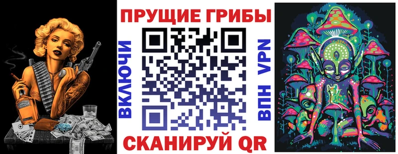 Галлюциногенные грибы Psilocybe  где найти наркотики  Чита 