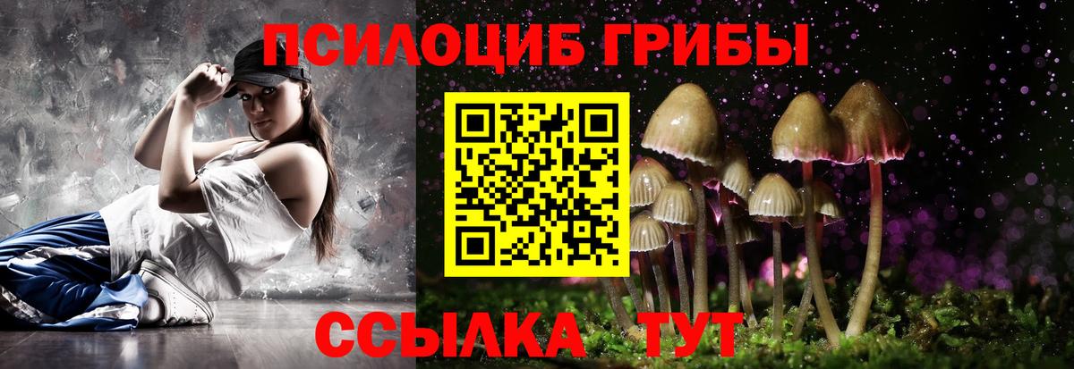 Псилоцибиновые грибы Psilocybe  что такое наркотик  Чита  Псилоцибиновые грибы мухоморы  Вход с VPN 